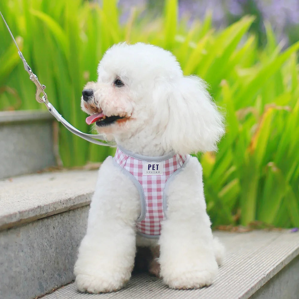 dog harness set Small dog chest and back integrated traction rope breathable pet supplies for walking outside suitable for kittens and puppies