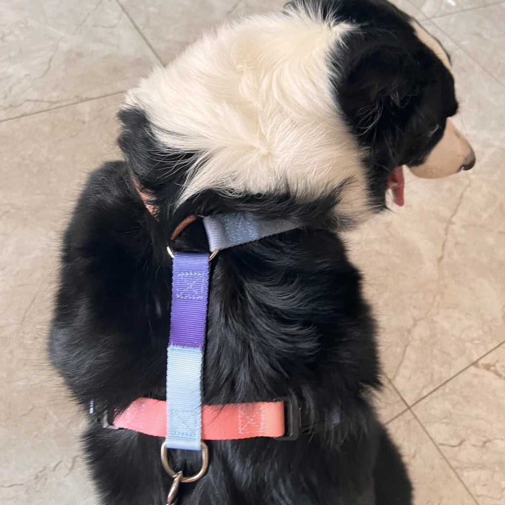 Dog chest harness cover includes a traction rope, waterproof nylon, anti slip, lightweight,for all types of dogs to walk