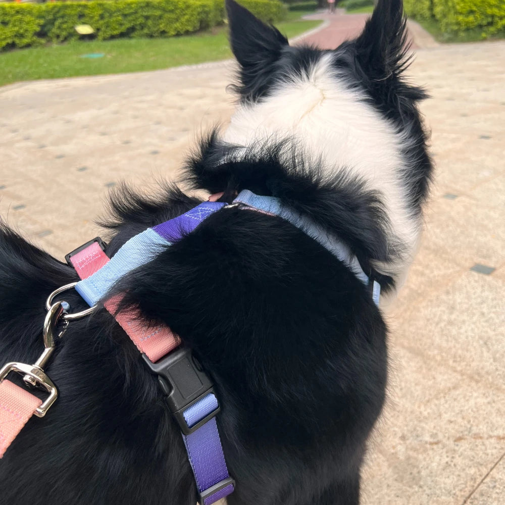 Dog chest harness cover includes a traction rope, waterproof nylon, anti slip, lightweight,for all types of dogs to walk