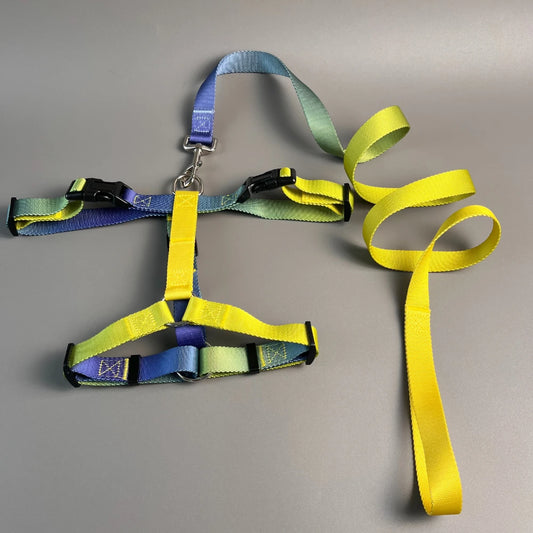 Dog chest harness and wiring harness set, waterproof nylon, anti slip, lightweight for walking dogs for all body types of dogs