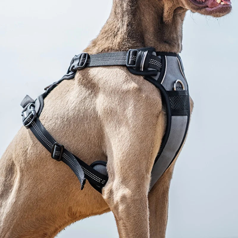 No Hood Explosion Proof Dog Chest Harness Adjustable Breathable Vest-Style Leash for Medium Large Dogs Reflective Dog Harness