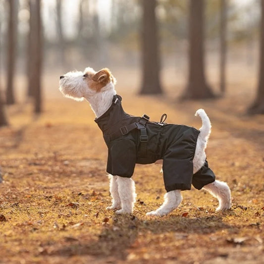 full-cover design dog raincoat  dog jacket hiking snow suit for all dogs waterproof and windproof chest and back integrated