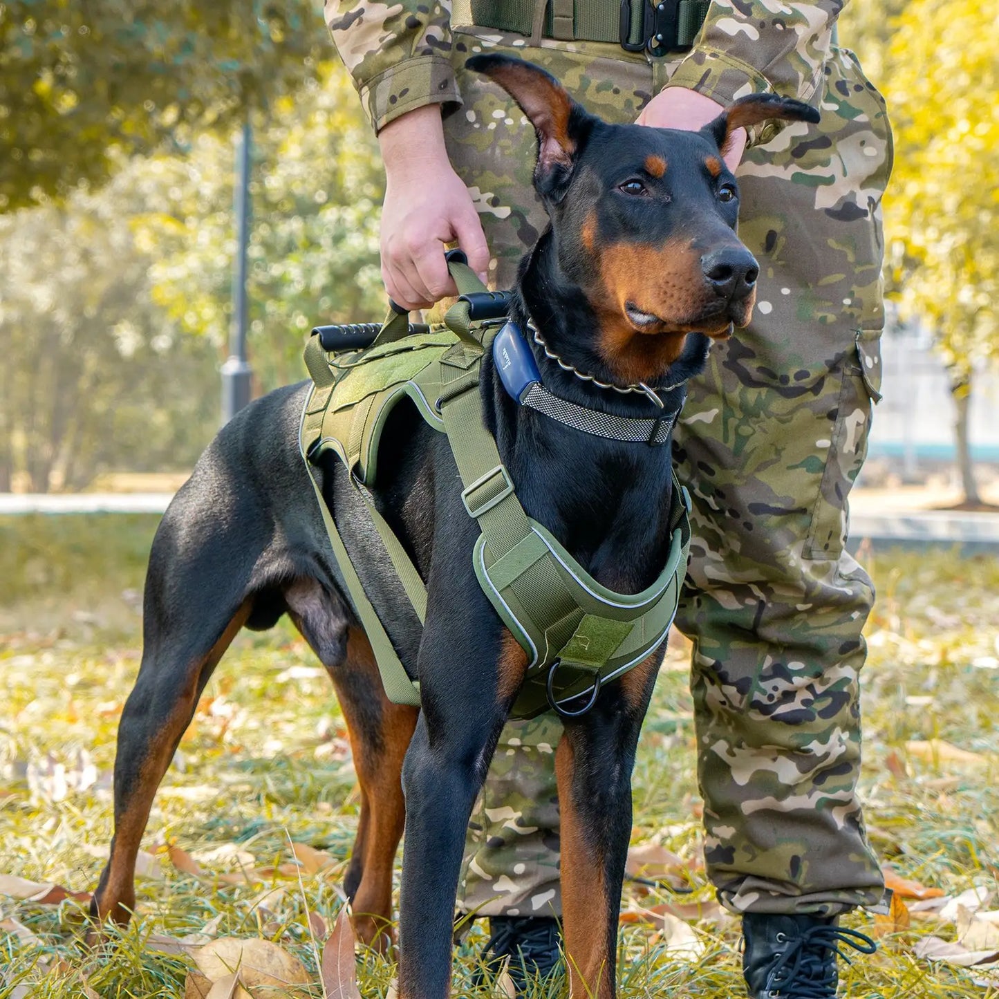 Tactical Dog Harness with Handle - Military Grade Anti-Pull Harness for Large Dogs, Breathable Reflective