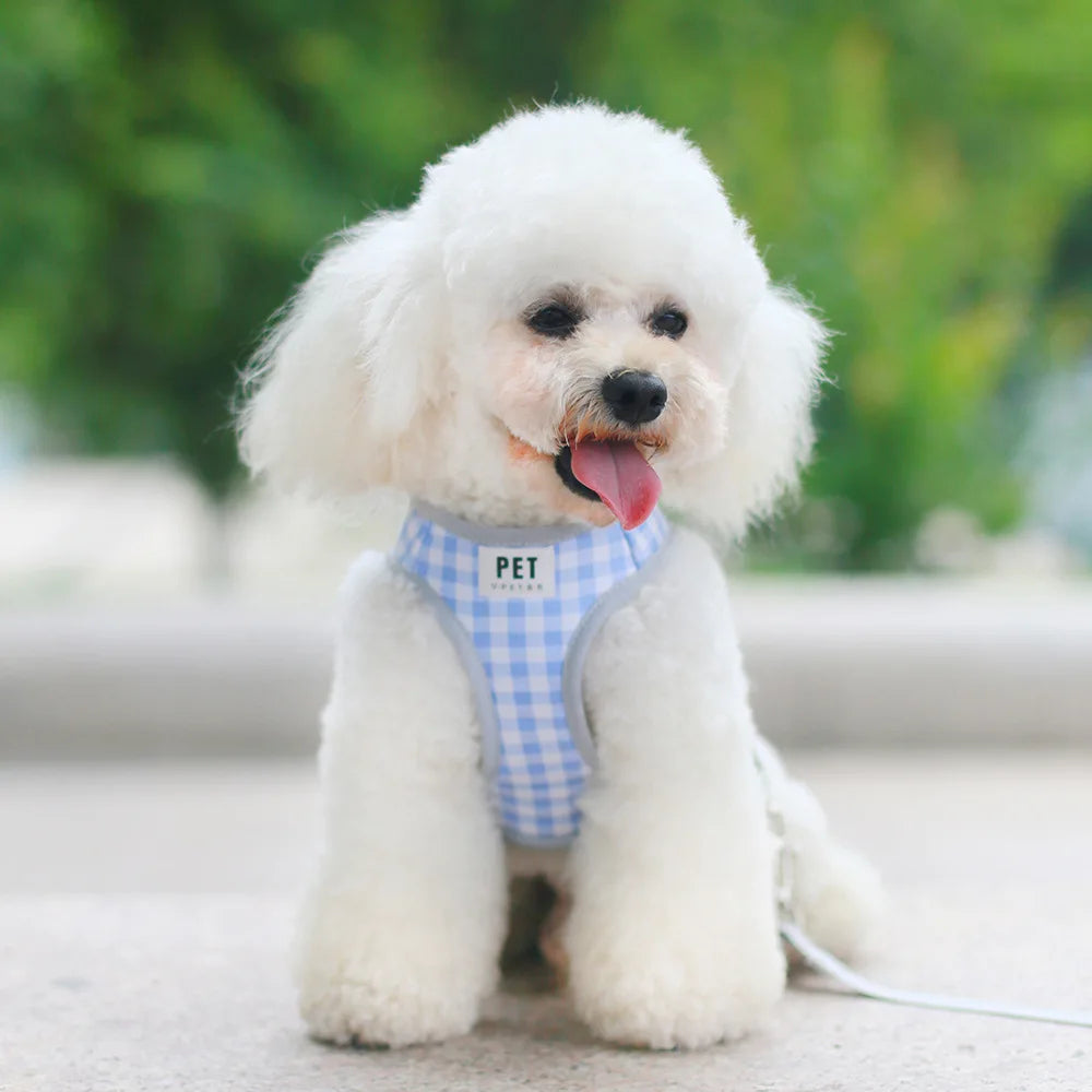 dog harness set Small dog chest and back integrated traction rope breathable pet supplies for walking outside suitable for kittens and puppies