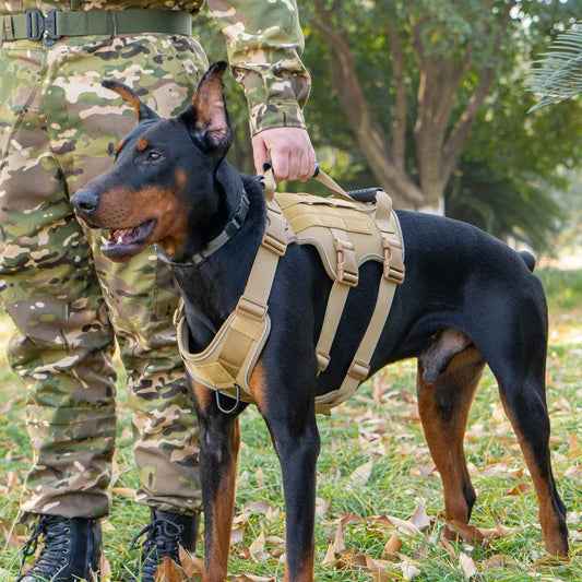 Tactical Dog Harness with Handle - Military Grade Anti-Pull Harness for Large Dogs, Breathable Reflective