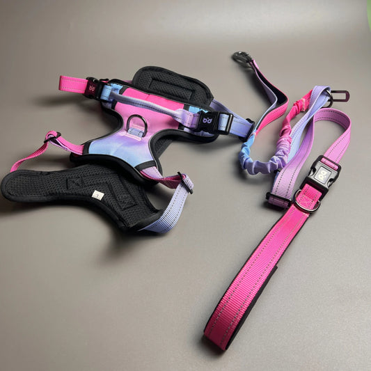 Reflective dog harness set, waterproof Oxford cloth walking rope,breathable adjustable vest style dog collar for easy on and off