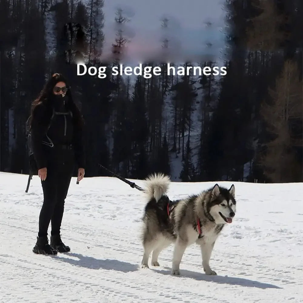 Sled dog training harness with anti-explosion adjustable leash | Suitable for medium and large husky dogs, reflective waterproof