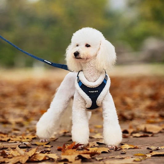 Vest-style pet leash set Small dog chest harness Teddy Bichon dog collar dog leash reflective adjustable