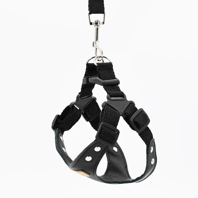 Soft leather dog harness set with leash Pet leather collar Teddy Bichon outdoor harness leash