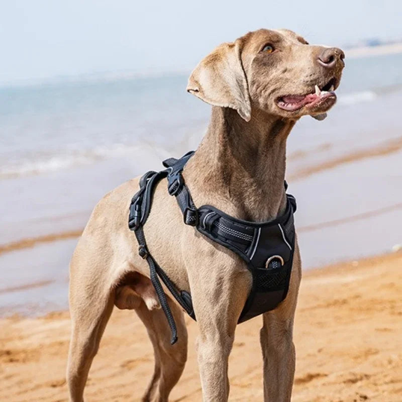 Explosion-proof dog chest harness Breathable vest-style traction rope Adjustable reflective dog harness dog accessories