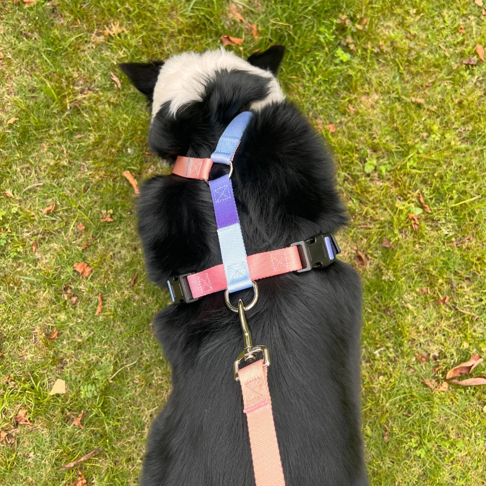 Dog chest harness cover includes a traction rope, waterproof nylon, anti slip, lightweight,for all types of dogs to walk