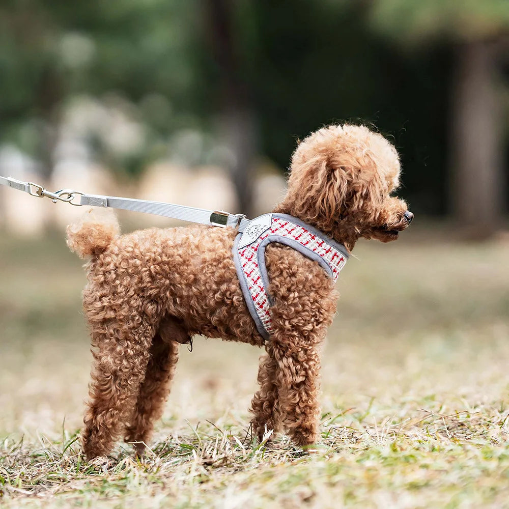 Adjustable dog harness set for small dogs and cats breathable vest-style traction rope comfortable and durable dog walking rope