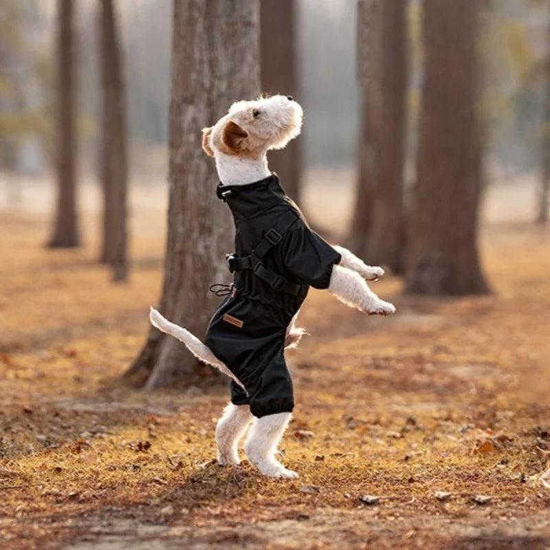 full-cover design dog raincoat dog jacket hiking snow suit for all dogs waterproof and windproof chest and back integrated