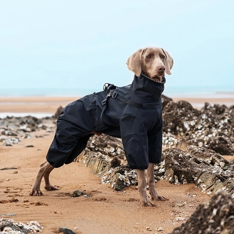 full-cover design dog raincoat dog jacket hiking snow suit for all dogs waterproof and windproof chest and back integrated