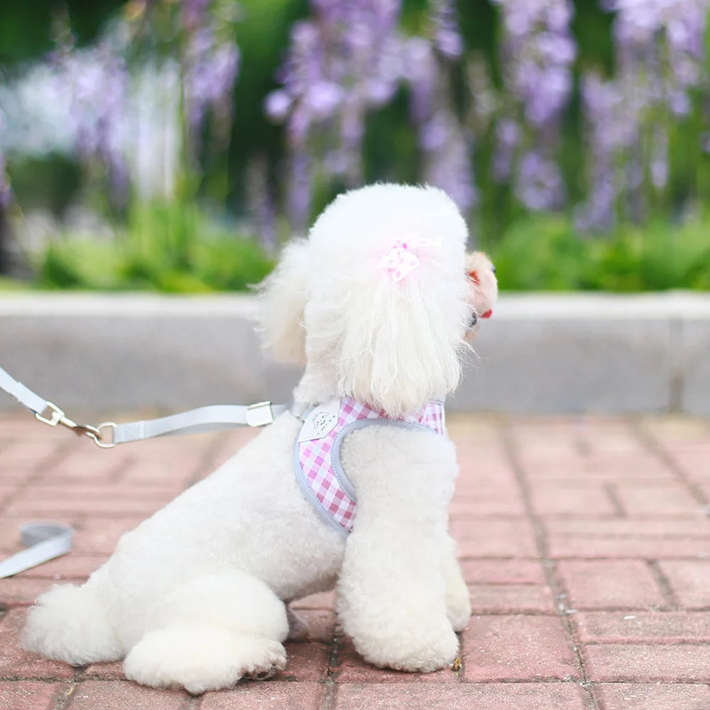 dog harness set Small dog chest and back integrated traction rope breathable pet supplies for walking outside suitable for kittens and puppies