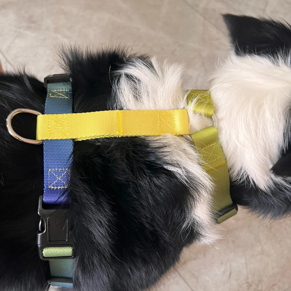 Dog chest harness cover includes a traction rope, waterproof nylon, anti slip, lightweight,for all types of dogs to walk