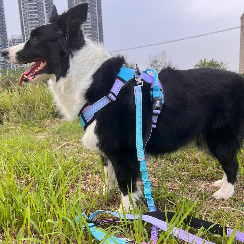 Anti slip dog harness set, waterproof Oxford cloth, breathable dog walking belt, vest style dog collar, running elastic rope