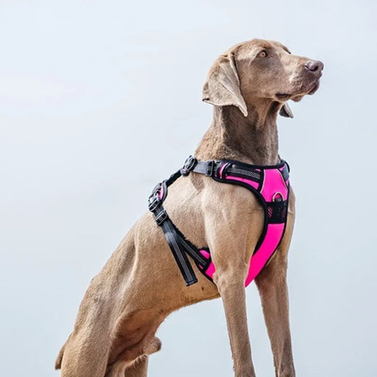 Explosion-proof dog chest harness Breathable vest-style traction rope Adjustable reflective dog harness dog accessories