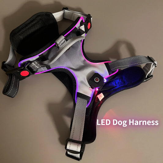 Cool Luminous Dog Harness with Handle - 6+ Hours of Battery Life, Waterproof Oxford Cloth, Fashionable Way to Walk Your Dog