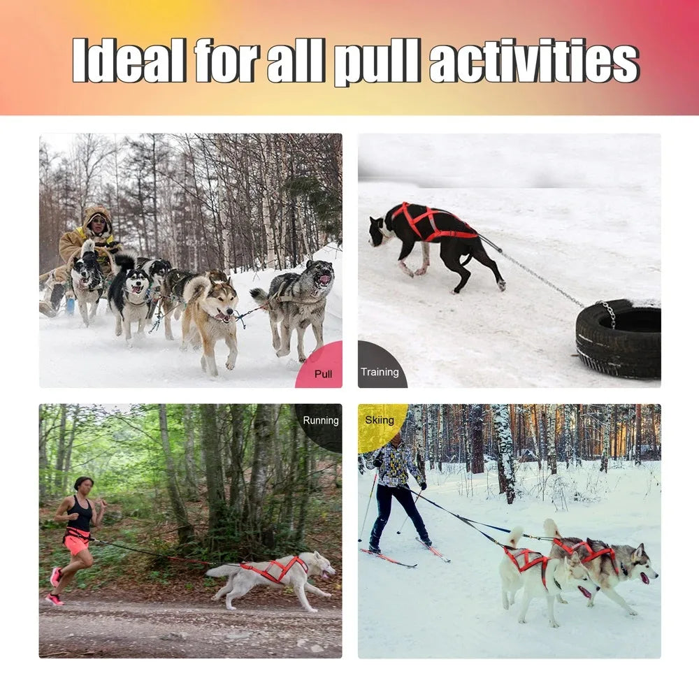 Sled dog training harness with anti-explosion adjustable leash | Suitable for medium and large husky dogs, reflective waterproof