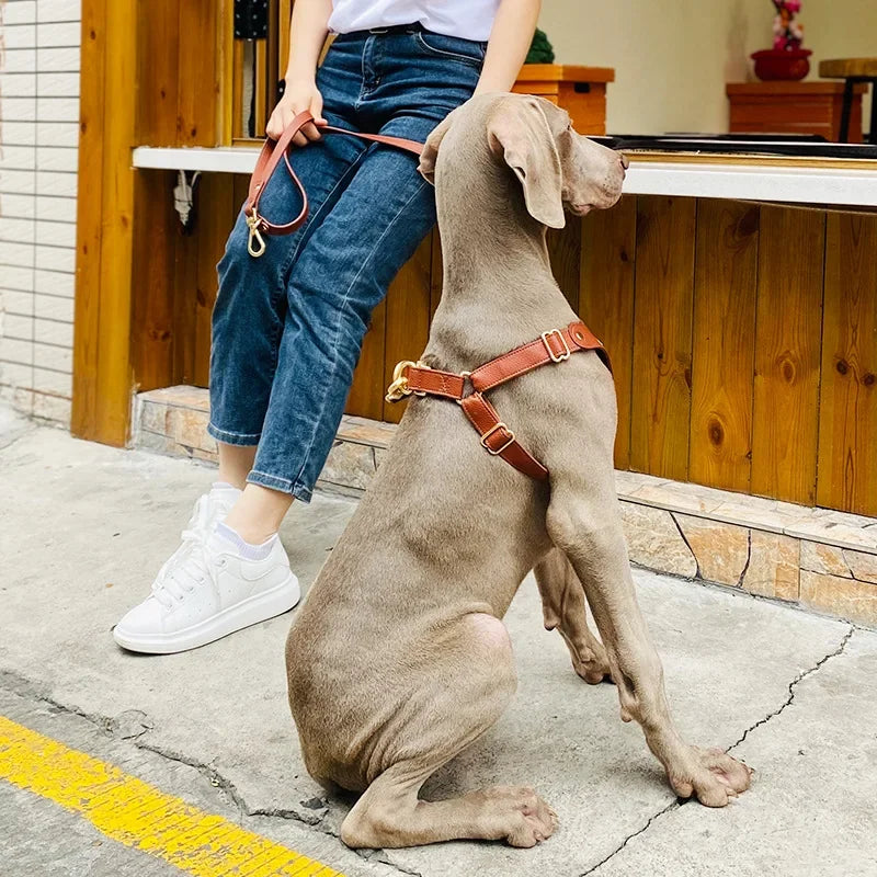 Leather dog harness with leash waterproof soft comfortable Dog walking collars for small and medium-sized dogs