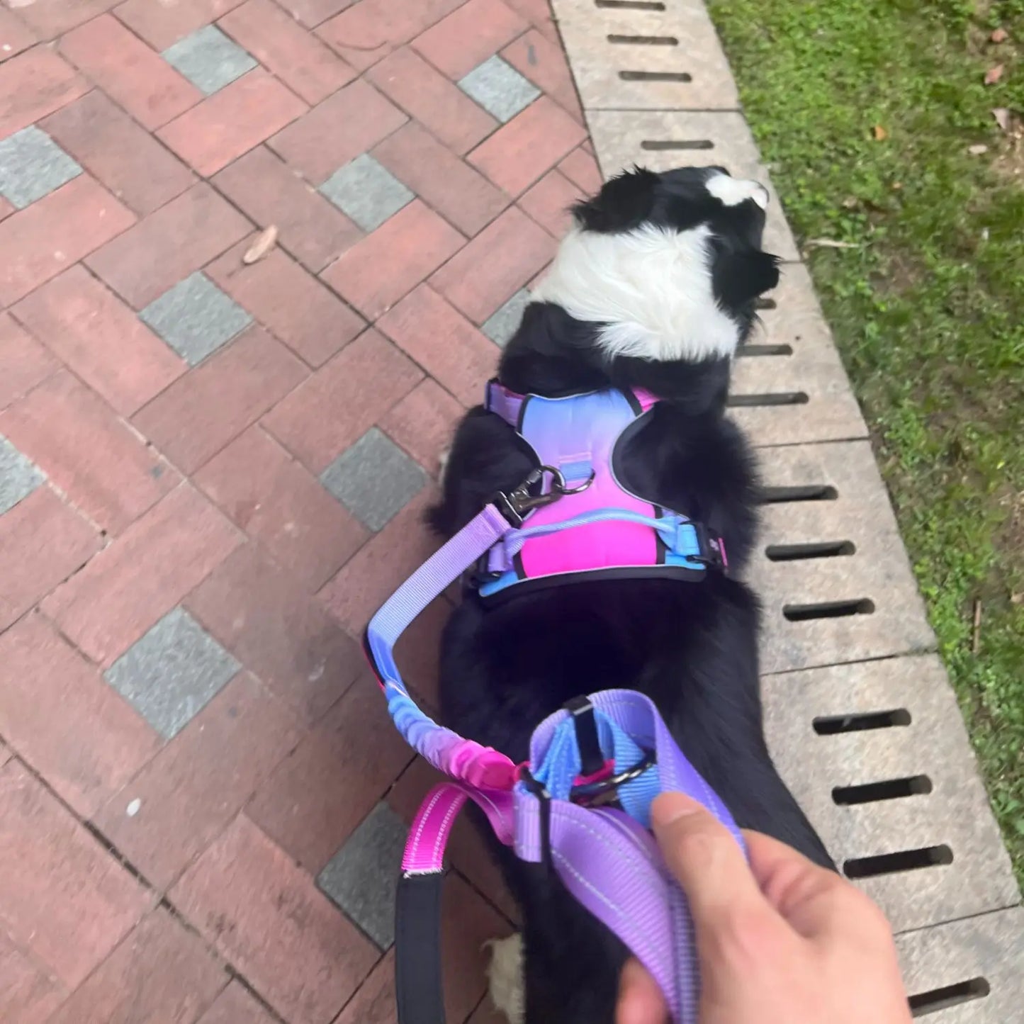 Breathable anti slip dog harness set waterproof Oxford cloth walking dog leash vest style dog collar running stretch rope