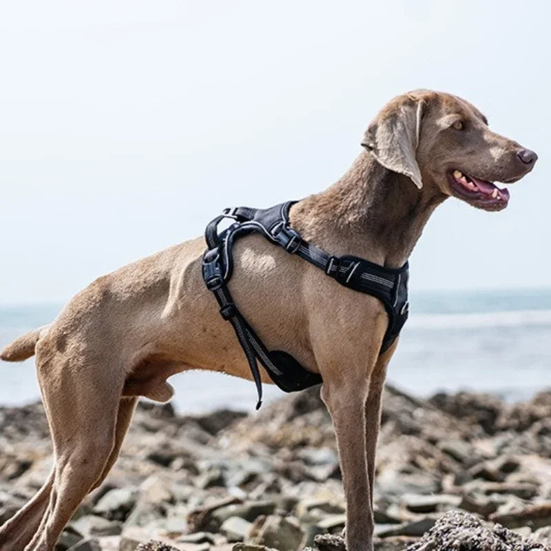 Explosion-proof dog chest harness Breathable vest-style traction rope Adjustable reflective dog harness dog accessories