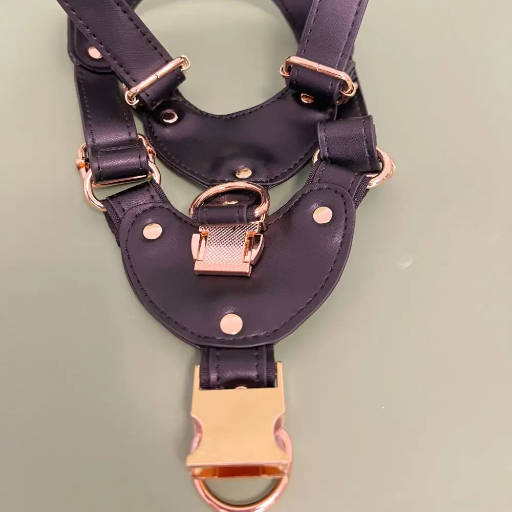 Leather Dog Harness and Leather Set - Waterproof, anti slip, adjustable, yelllow S-L for small and medium-sized dogs