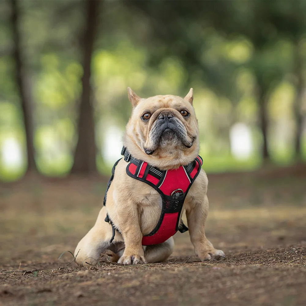 No Hood Explosion Proof Dog Chest Harness Adjustable Breathable Vest-Style Leash for Medium Large Dogs Reflective Dog Harness