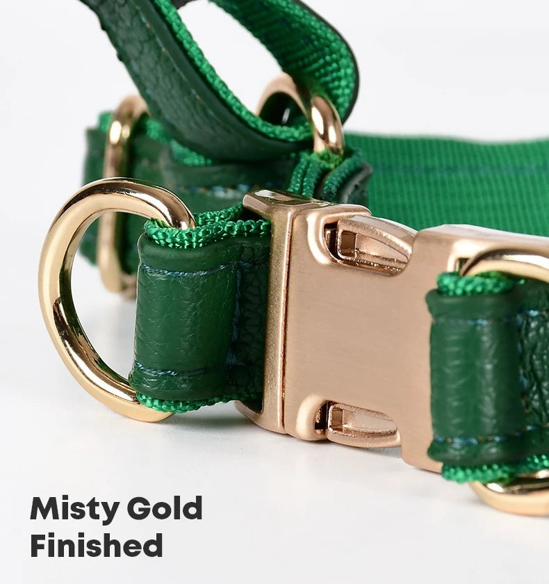 Leather dog harness with leash waterproof soft comfortable Dog walking collars for small and medium-sized dogs