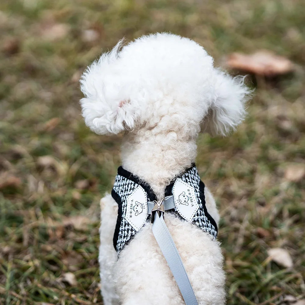 Adjustable dog harness set for small dogs and cats breathable vest-style traction rope comfortable and durable dog walking rope