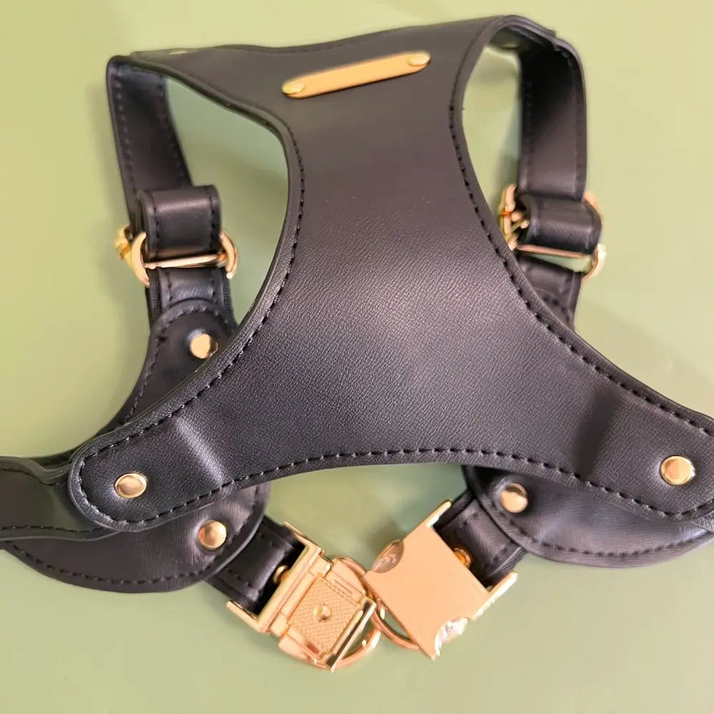 Leather dog harness set with drawstring poop bag - waterproof, adjustable, soft and comfortable for small and medium-sized dogs