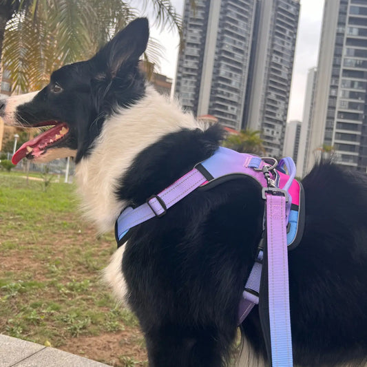 Breathable anti slip dog harness set waterproof Oxford cloth walking dog leash vest style dog collar running stretch rope