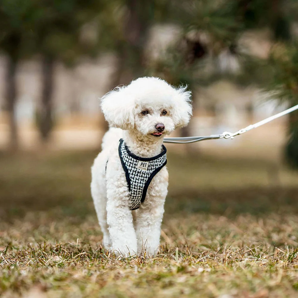 Adjustable dog harness set for small dogs and cats breathable vest-style traction rope comfortable and durable dog walking rope