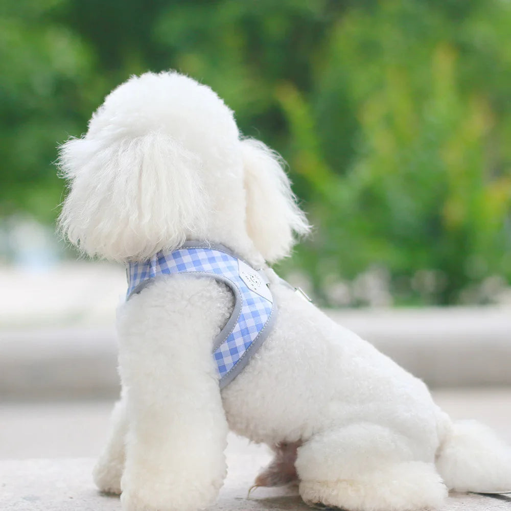 dog harness set Small dog chest and back integrated traction rope breathable pet supplies for walking outside suitable for kittens and puppies
