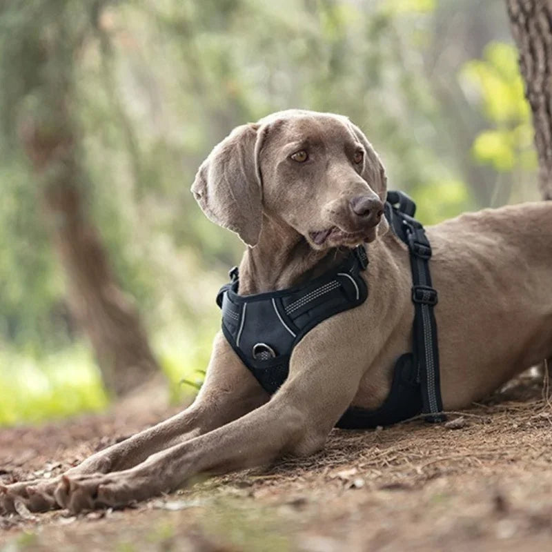 Explosion-proof dog chest harness Breathable vest-style traction rope Adjustable reflective dog harness dog accessories
