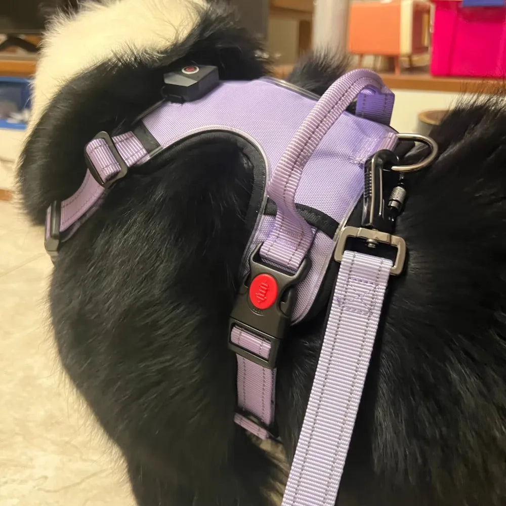 Cool Luminous Dog Harness with Handle - 6+ Hours of Battery Life, Waterproof Oxford Cloth, Fashionable Way to Walk Your Dog