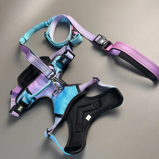 Anti slip dog harness set, waterproof Oxford cloth, breathable dog walking belt, vest style dog collar, running elastic rope