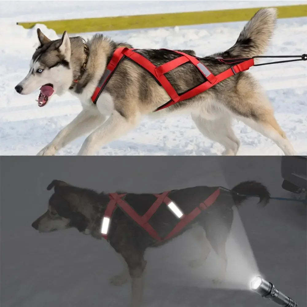 Sled dog training harness with anti-explosion adjustable leash | Suitable for medium and large husky dogs, reflective waterproof