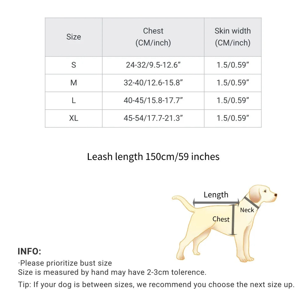 Soft leather dog harness set with leash Pet leather collar Teddy Bichon outdoor harness leash
