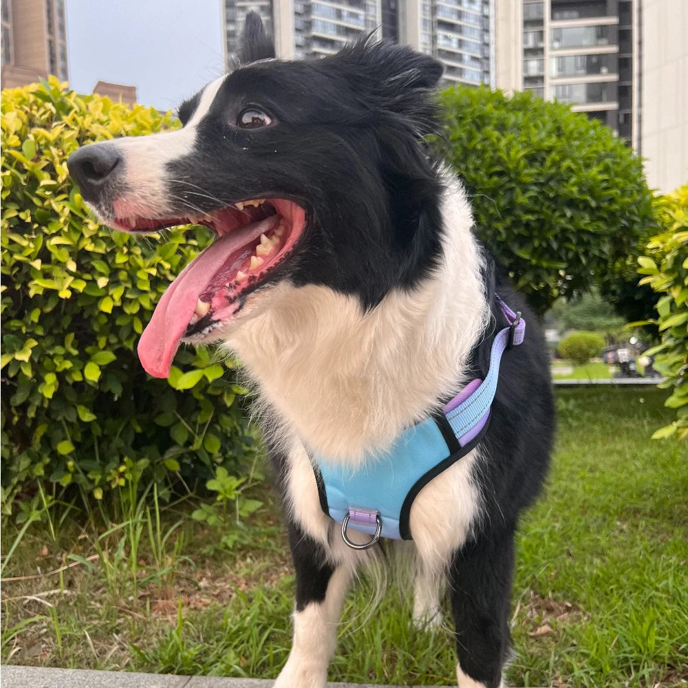 Anti slip dog harness set, waterproof Oxford cloth, breathable dog walking belt, vest style dog collar, running elastic rope