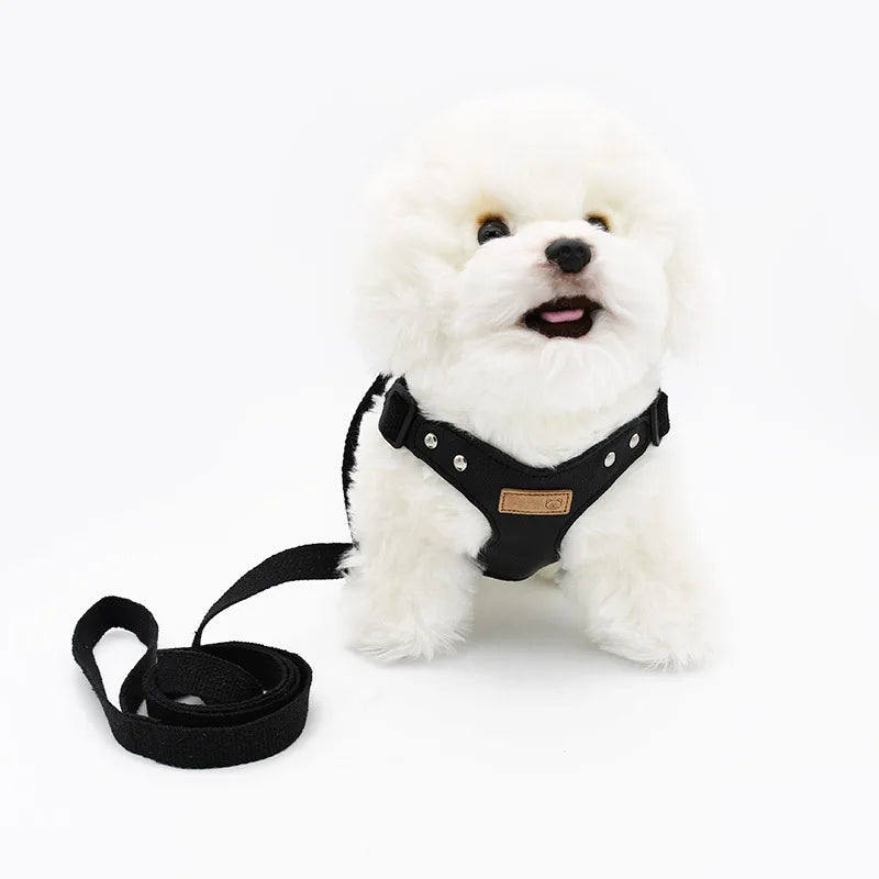 Soft leather dog harness set with leash Pet leather collar Teddy Bichon outdoor harness leash
