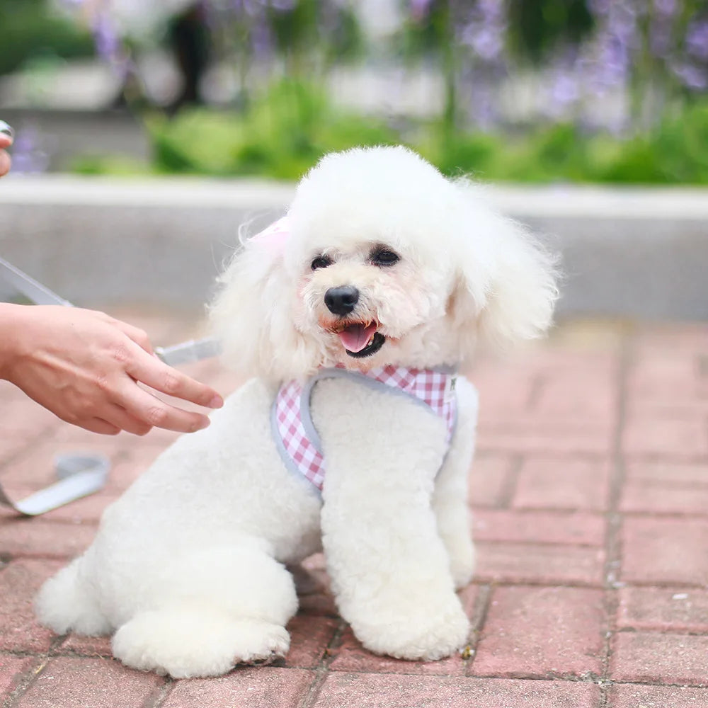 dog harness set Small dog chest and back integrated traction rope breathable pet supplies for walking outside suitable for kittens and puppies