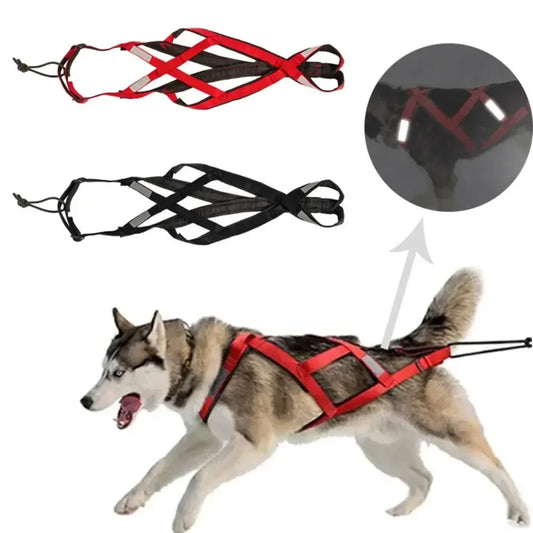 Sled dog training harness with anti-explosion adjustable leash | Suitable for medium and large husky dogs, reflective waterproof