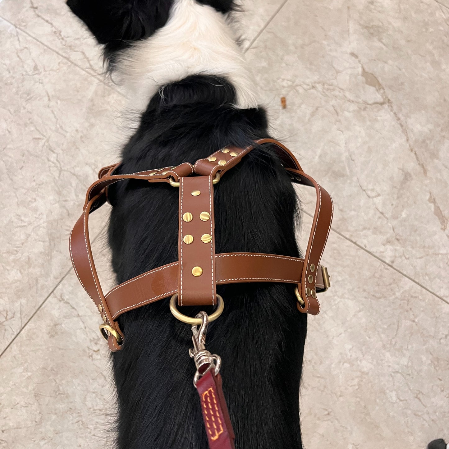 Cowhide leather harness for sled dogs | Three-ring traction design | Adjustable anti-escape harness for large dogs | Handmade thick cowhide