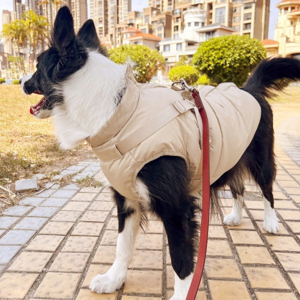 Waterproof dog jacket | Adjustable dog coat | With strap design | Windproof and rainproof pet coat in Morandi color | Suitable for all dogs
