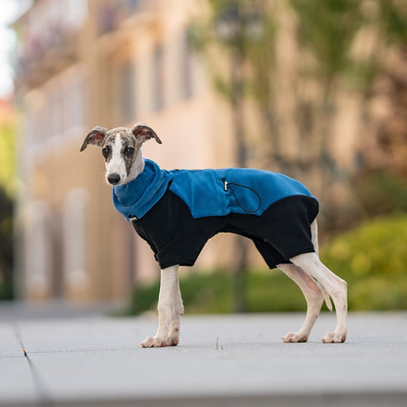 Warmer Vierbeinmantel für Hunde, Polarfleece, abnehmbarer Kragen