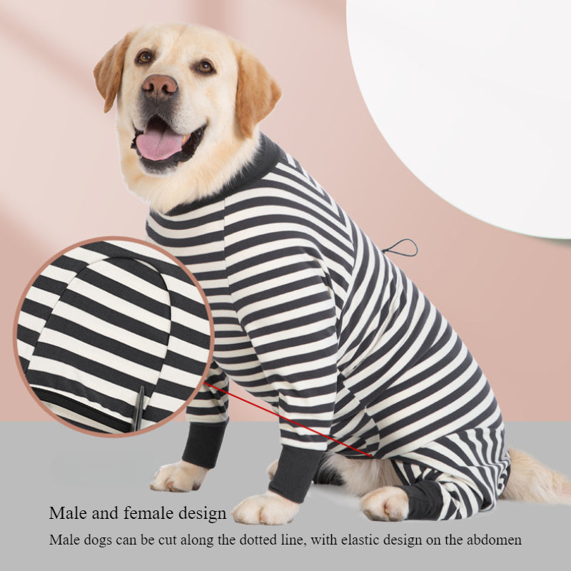 Verstellbare Kleidung für große Hunde, um sie warm zu halten und den Bauch nach einer Operation zu schützen