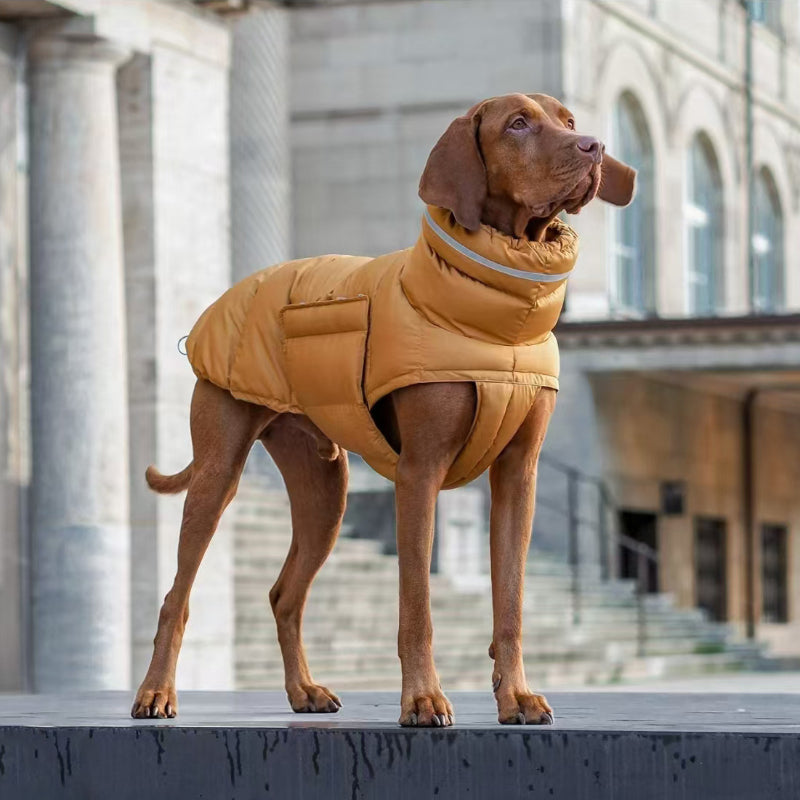 Hunde-Outdoor-Jacke, wasserdicht, winddicht, warmer Mantel