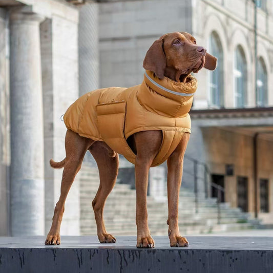 Veste d'extérieur pour chien imperméable et coupe-vent, manteau chaud